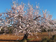 Img 20190126 wa0001